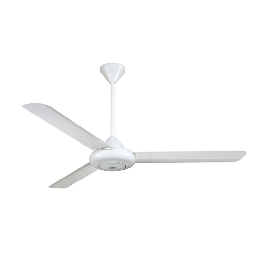 Ceiling Fans